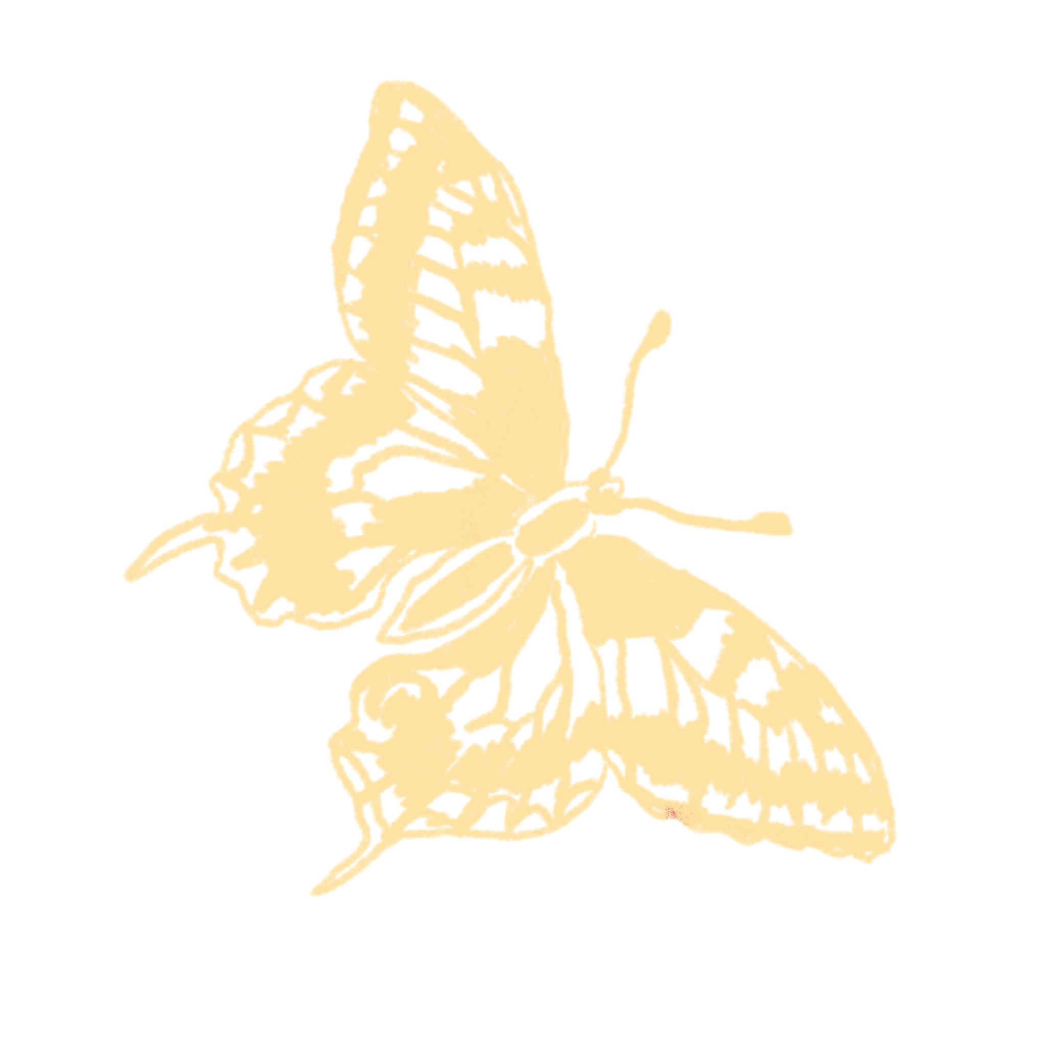 Yellow Butterfly