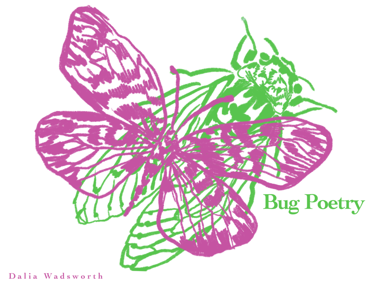Bug Poetry